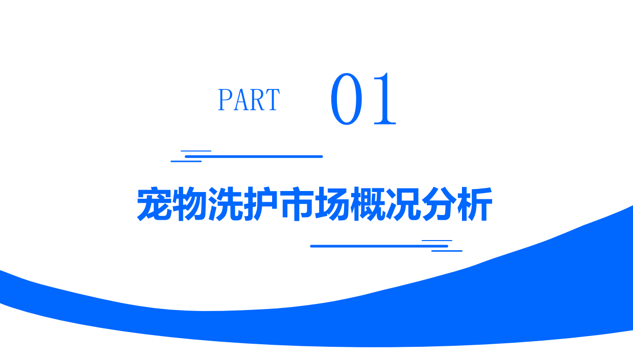 2025年宠物洗护市场复盘总结及新品趋势-智云京造-32页.pdf_第5页