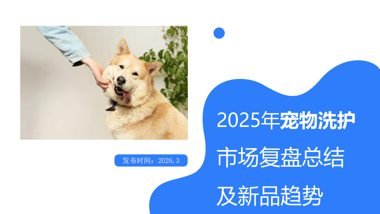 2025年宠物洗护市场复盘总结及新品趋势-智云京造-32页.pdf