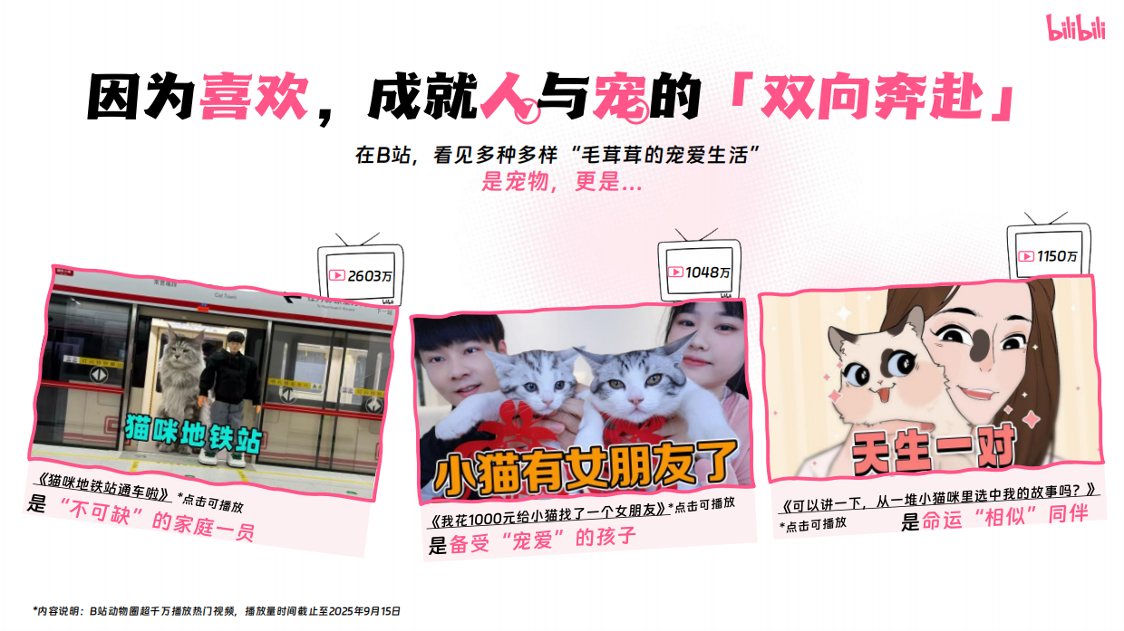 2025年宠物行业营销通案-哔哩哔哩-65页.pdf_第2页