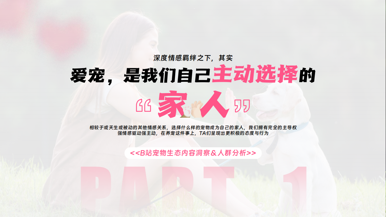 2025年宠物行业营销通案-哔哩哔哩-65页.pdf_第3页