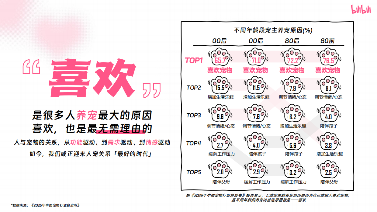2025年宠物行业营销通案-哔哩哔哩-65页.pdf