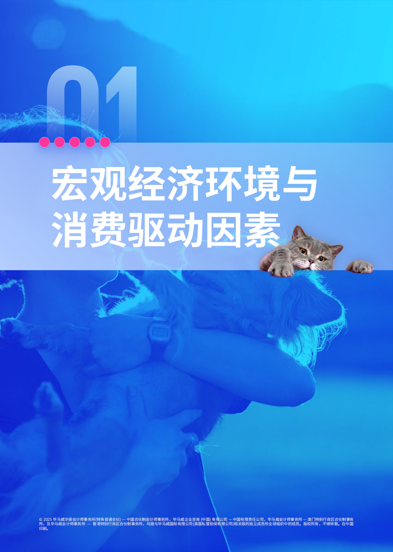 2025年中国宠物行业市场报告：“它经济”的消费升级与市场洞察-毕马威-2025.6-82页.pdf_第5页