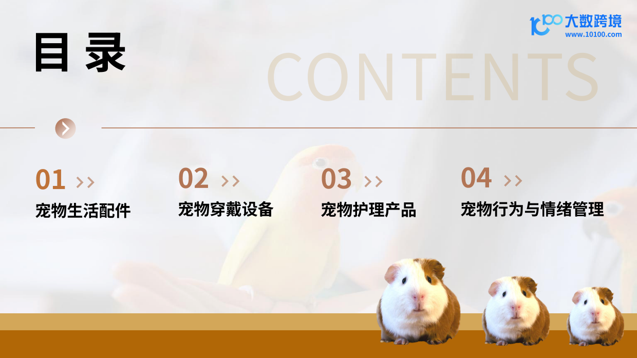 2025新兴宠物用品赛道市场现状与未来趋势分析-大数跨境-41页.pdf_第3页