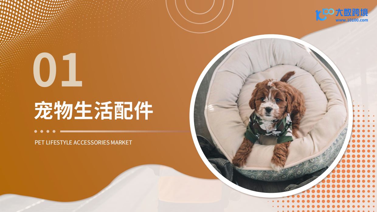 2025新兴宠物用品市场洞察报告-40页.pdf_第4页