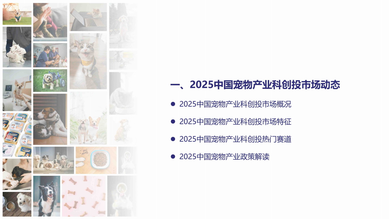 2025中国宠物产业科技创新与投融资报告-宠星云-19页.pdf_第4页
