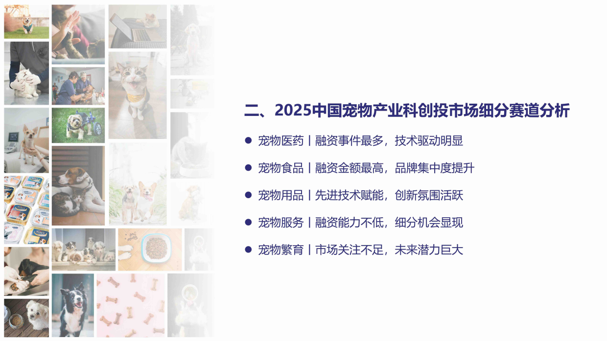 2025中国宠物产业科技创新与投融资报告-宠星云-19页.pdf_第9页