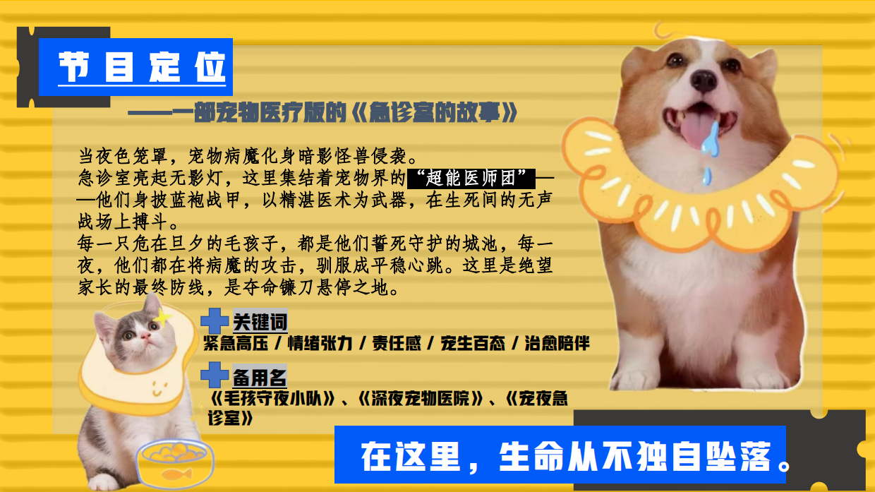 2026哔哩哔哩纪录片《深夜宠物急诊室》招商方案-28页.pdf_第4页