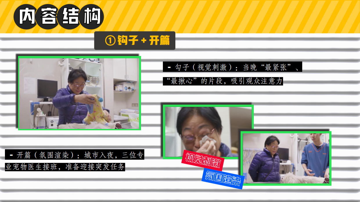 2026哔哩哔哩纪录片《深夜宠物急诊室》招商方案-28页.pdf_第9页