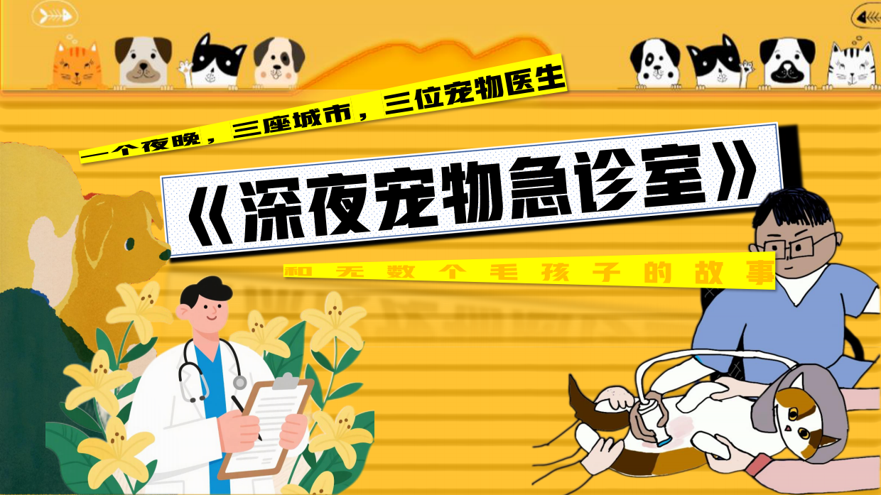 2026哔哩哔哩纪录片《深夜宠物急诊室》招商方案-28页.pdf