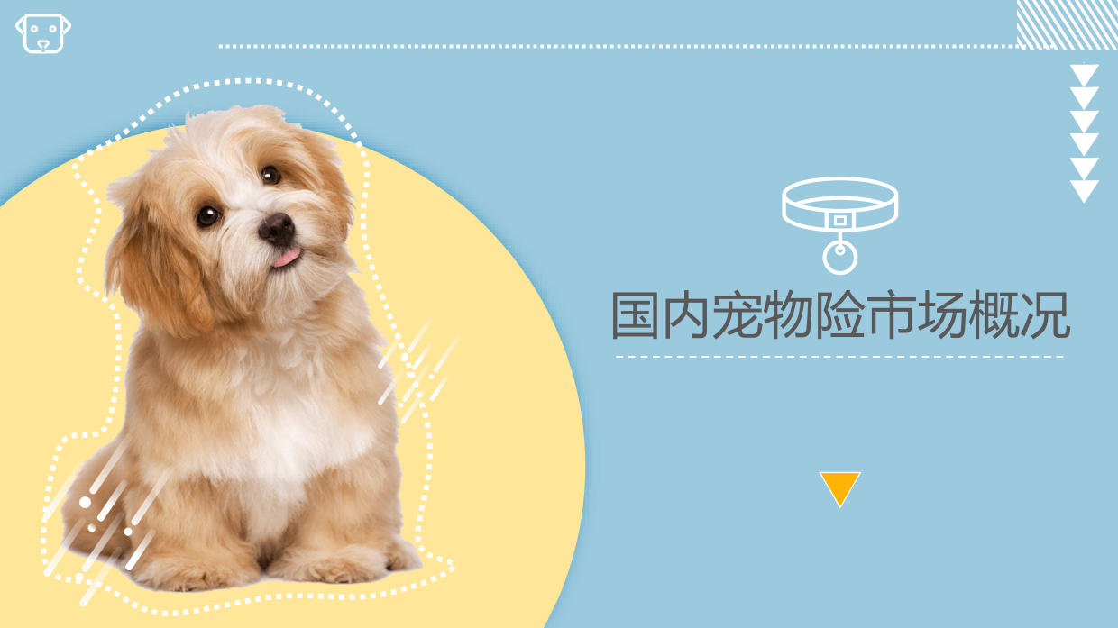 2026宠物保险研究报告-57页.pdf_第10页