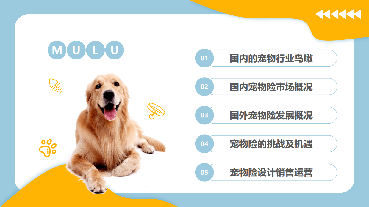2026宠物保险研究报告-57页.pdf_第3页