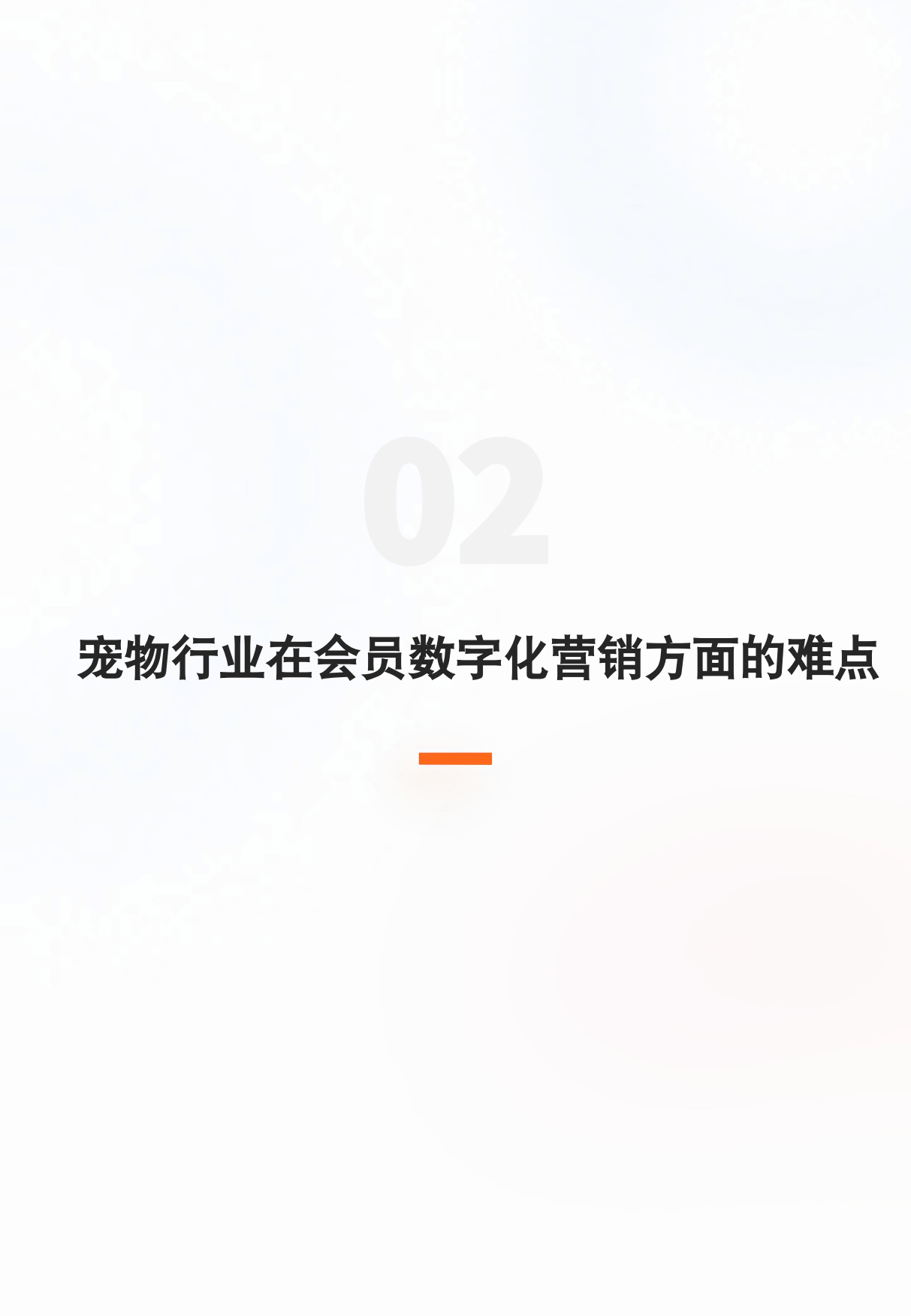 2026宠物行业会员数字化营销解决方案-29页.pdf_第6页