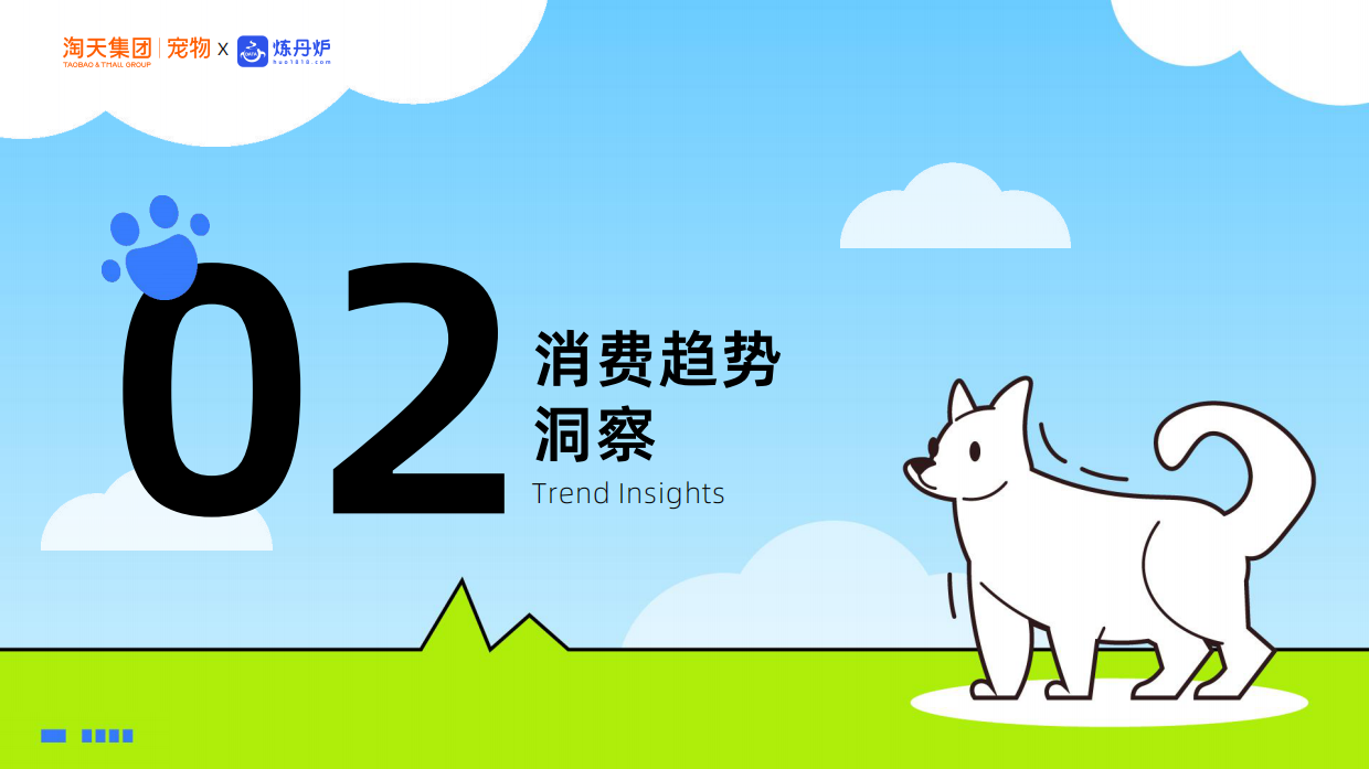 2026杭州知衣科技有限公司&淘天集团_宠物行业新品趋势-56页.pdf_第6页