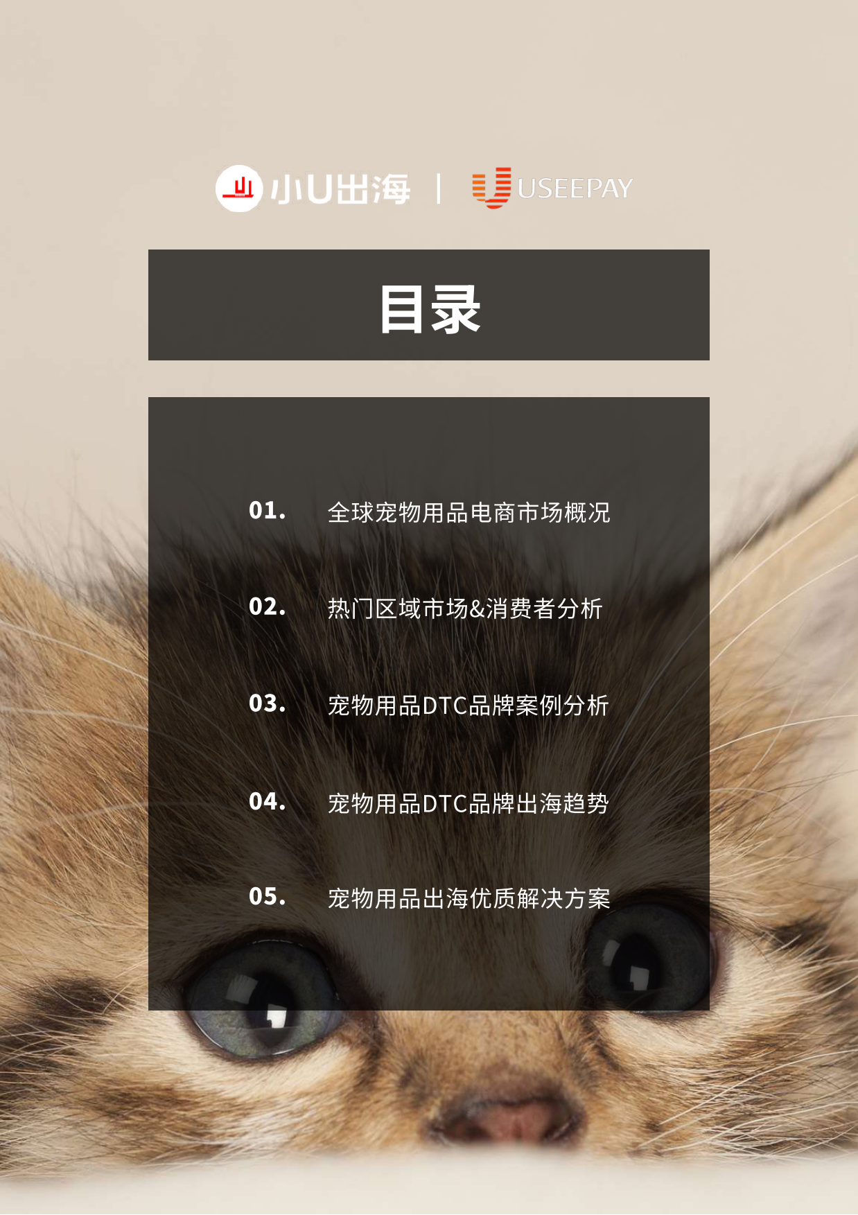 2026全球宠物用品电商市场分析报告-小U出海-90页.pdf_第3页