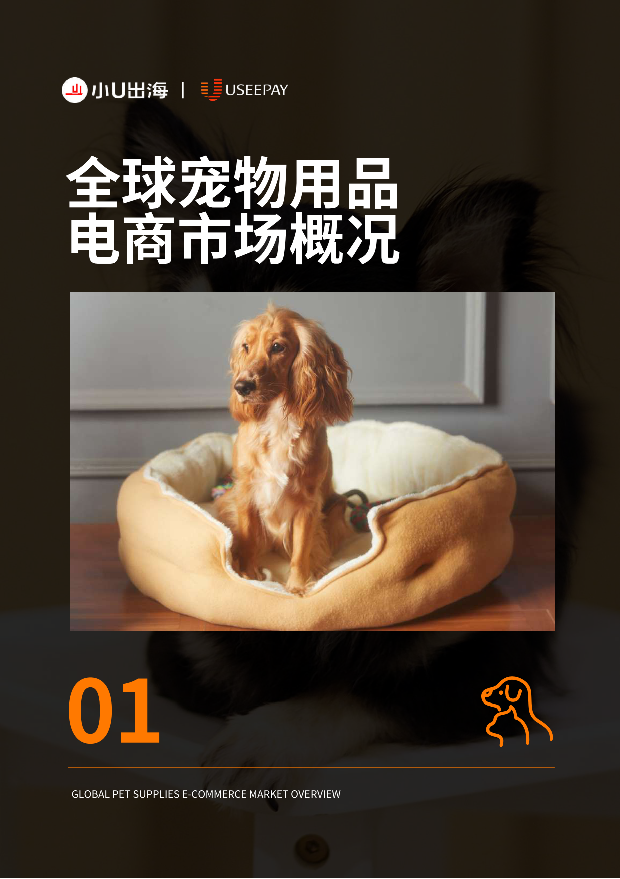 2026全球宠物用品电商市场分析报告-小U出海-90页.pdf_第4页