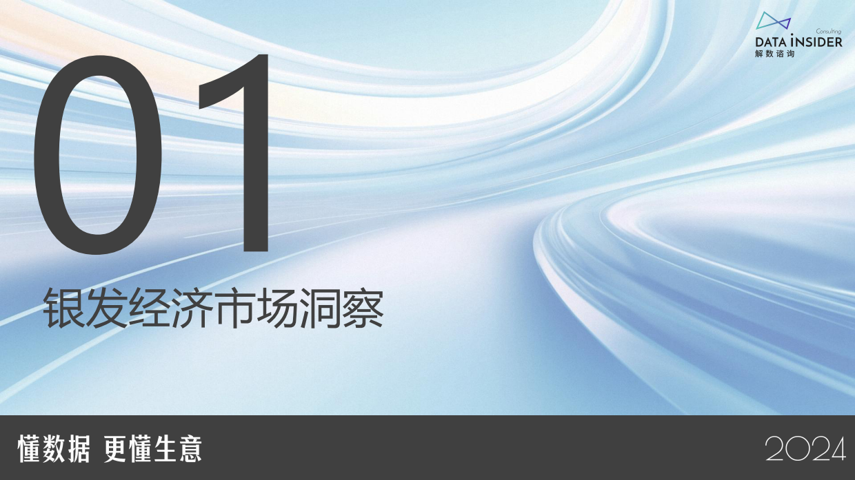 2024大数据下银发经济趋势前瞻-解数咨询-23页.pdf_第2页
