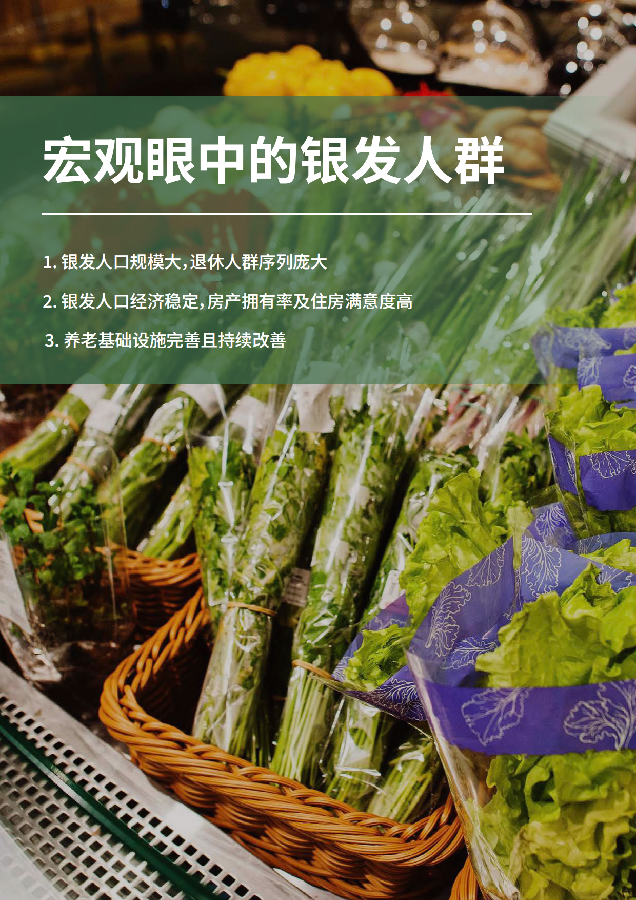 2024活力银发人群消费需求趋势研究：新时代的消费力蓝海-黑蚁资本-50页.pdf_第4页
