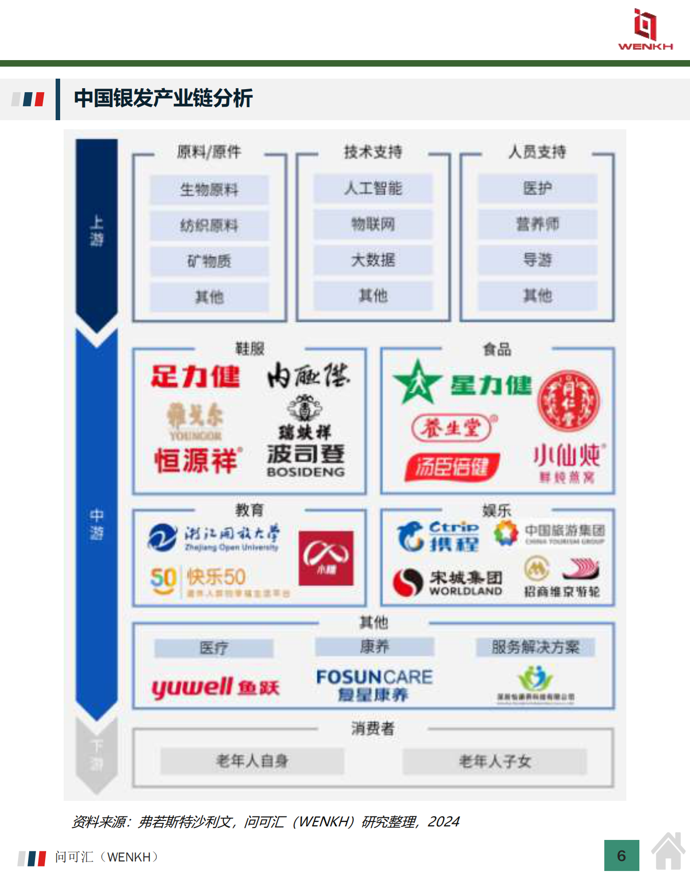 2024年中国银发经济市场规模及行业分析-13页.pdf_第5页