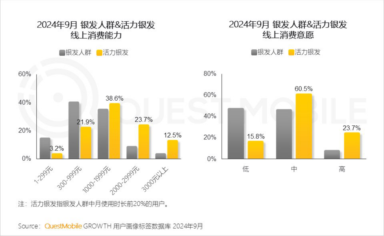 2024银发人群洞察报告-QuestMobile-22页.pdf_第8页