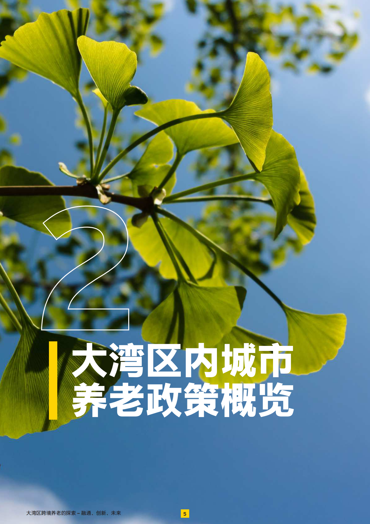 2025大湾区跨境养老的探索——融通、创新、未来-安永-28页.pdf_第5页
