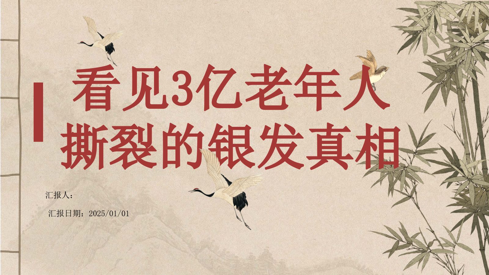 2025看见3亿老年人：撕裂的银发真相-42页.ppt_第1页