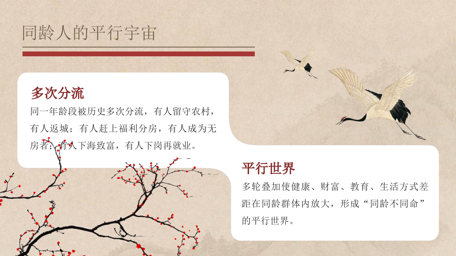 2025看见3亿老年人：撕裂的银发真相-42页.ppt_第10页