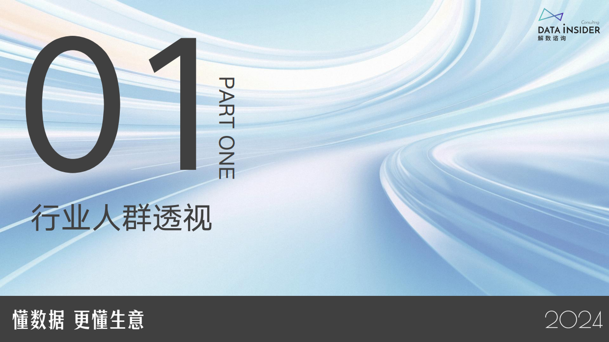 2025年电商银发人群深度研究报告-解数咨询-23页.pdf_第2页
