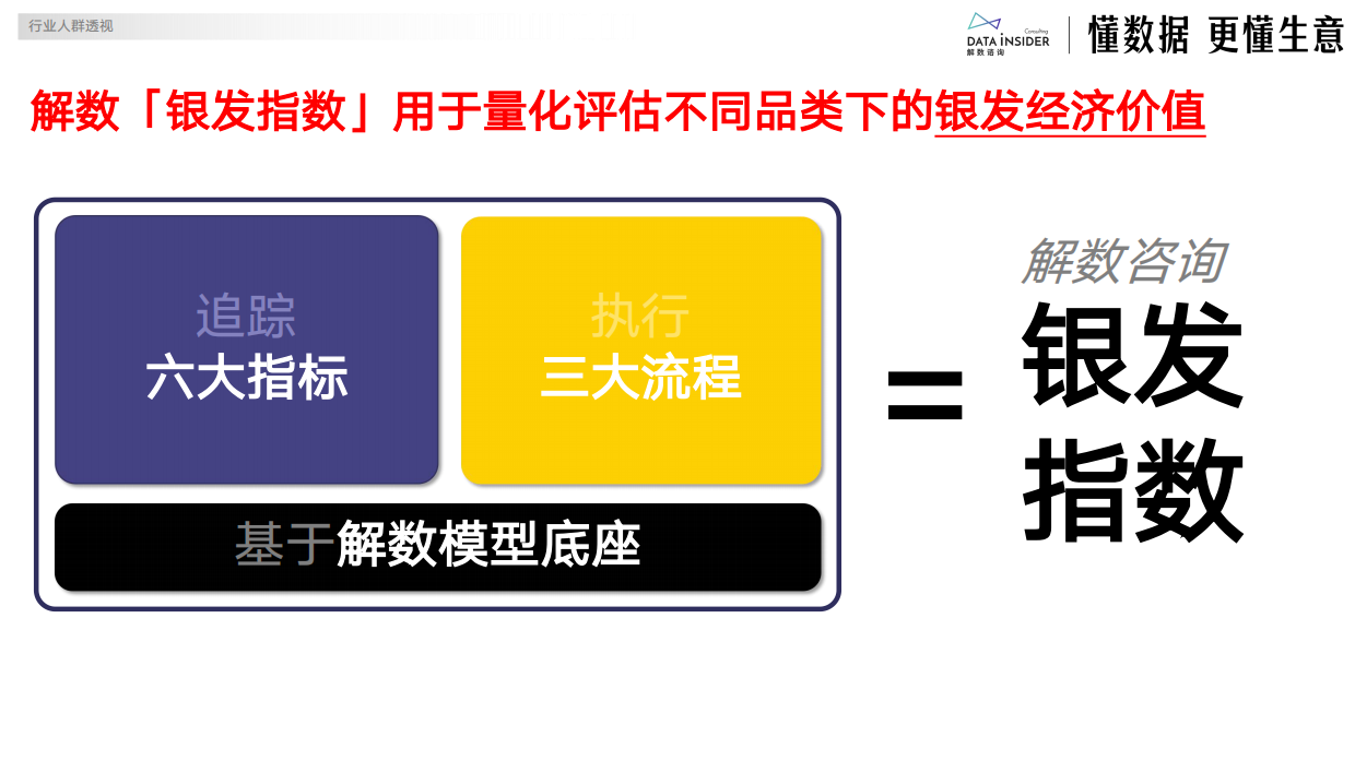 2025年电商银发人群深度研究报告-解数咨询-23页.pdf_第3页