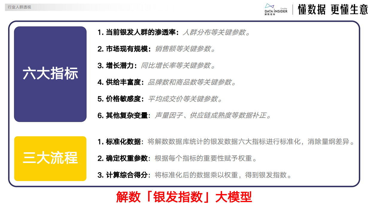 2025年电商银发人群深度研究报告-解数咨询-23页.pdf_第4页