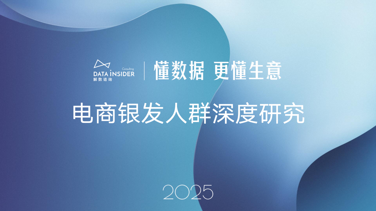 2025年电商银发人群深度研究报告-解数咨询-23页.pdf