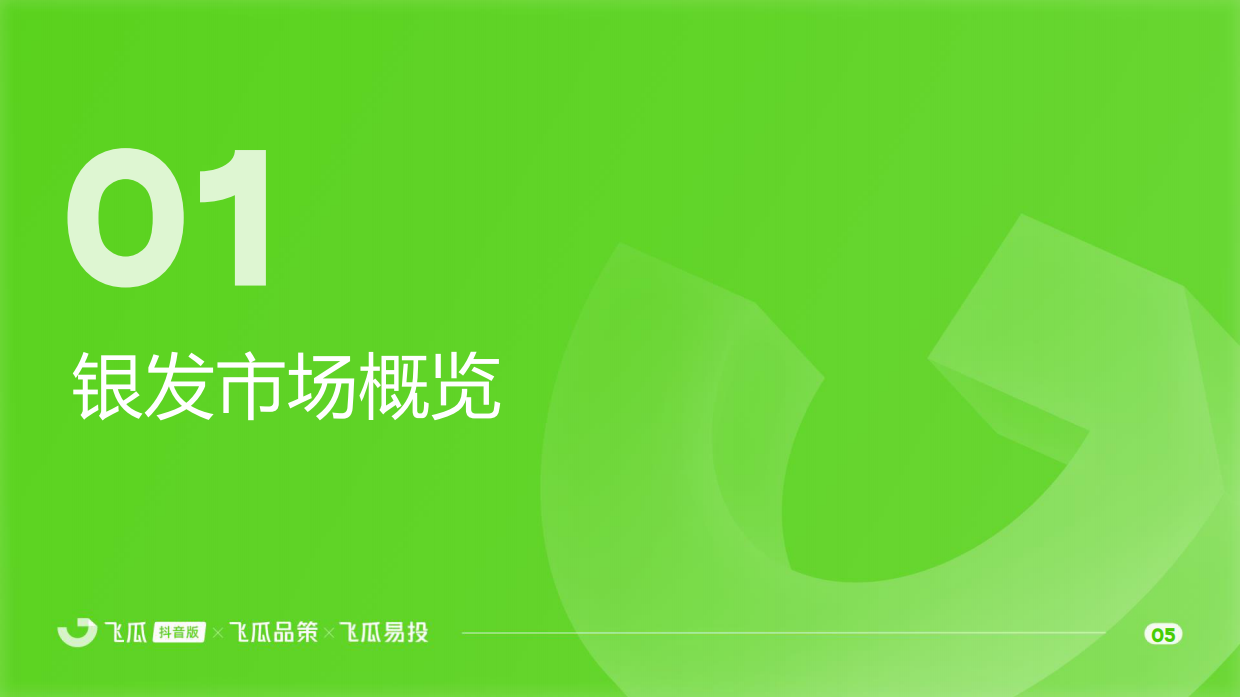 2025年飞瓜抖音银发市场线上消费与广告投放洞察报告-37页.pdf_第5页