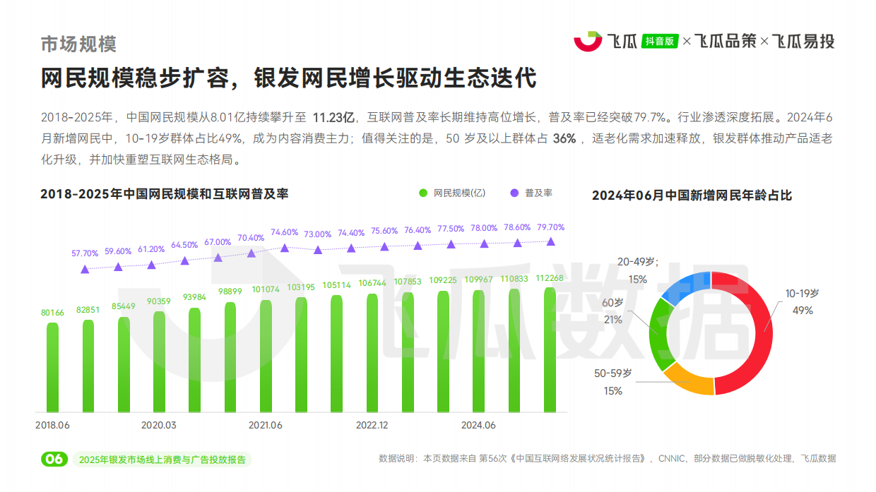 2025年飞瓜抖音银发市场线上消费与广告投放洞察报告-37页.pdf_第6页