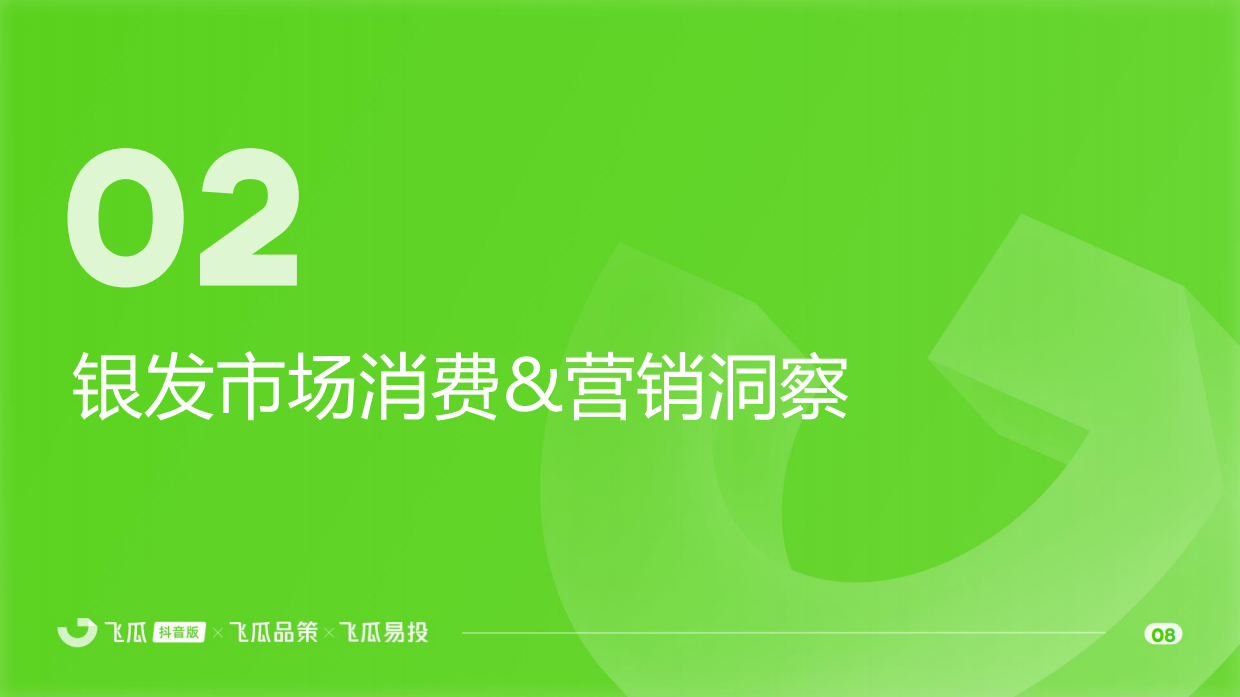 2025年飞瓜抖音银发市场线上消费与广告投放洞察报告-37页.pdf_第8页