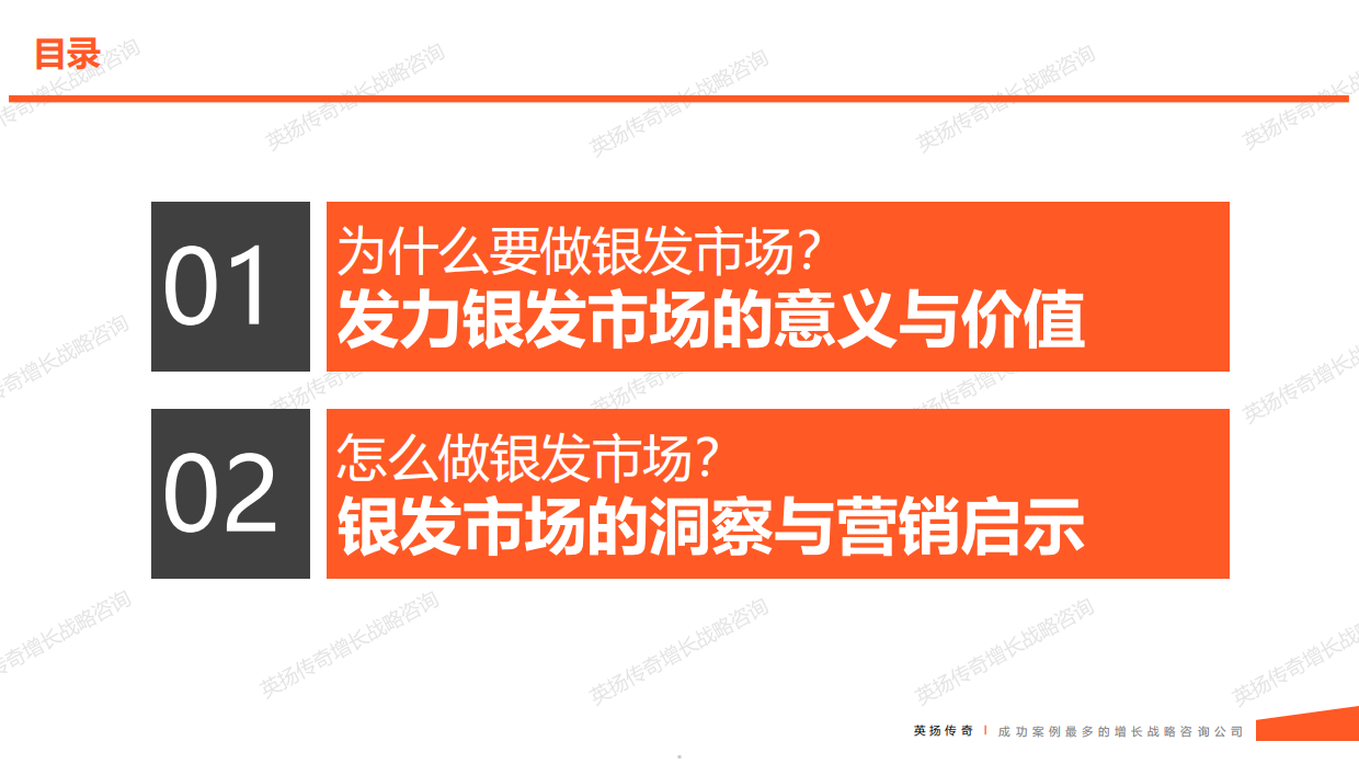 2025年银发族市场洞察报告-英杨传奇-2025-108页.pdf_第4页