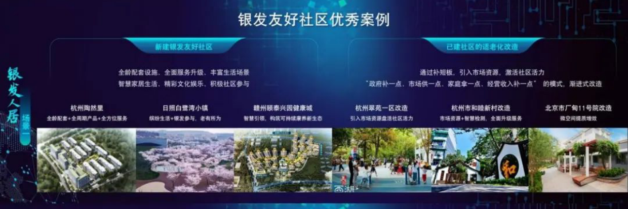 2025中国银发人居发展报告-29页.pdf_第10页