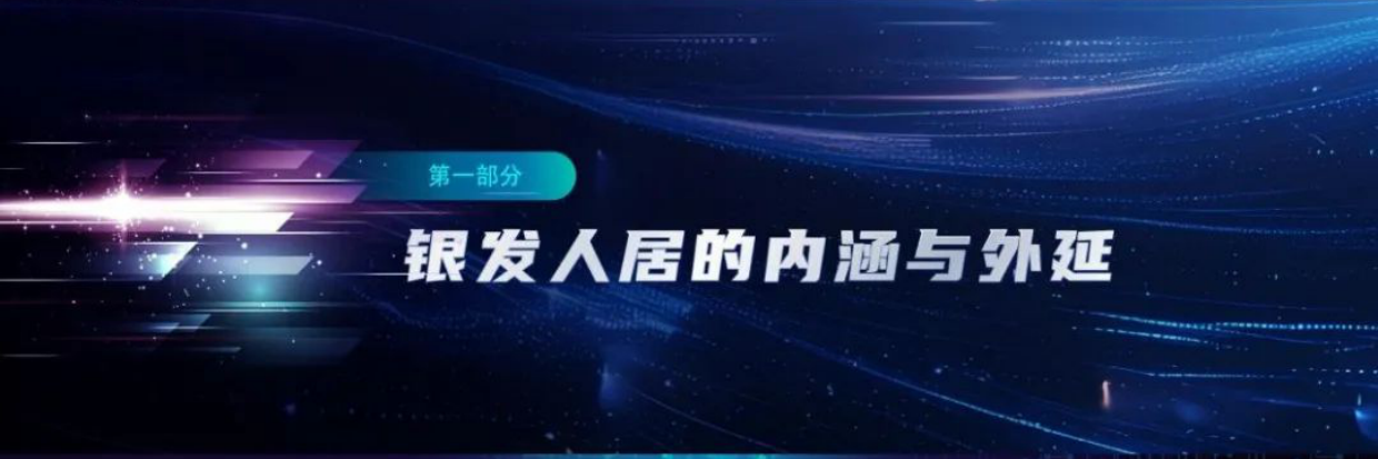 2025中国银发人居发展报告-29页.pdf_第3页