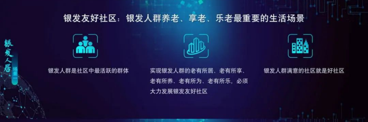 2025中国银发人居发展报告-29页.pdf_第9页