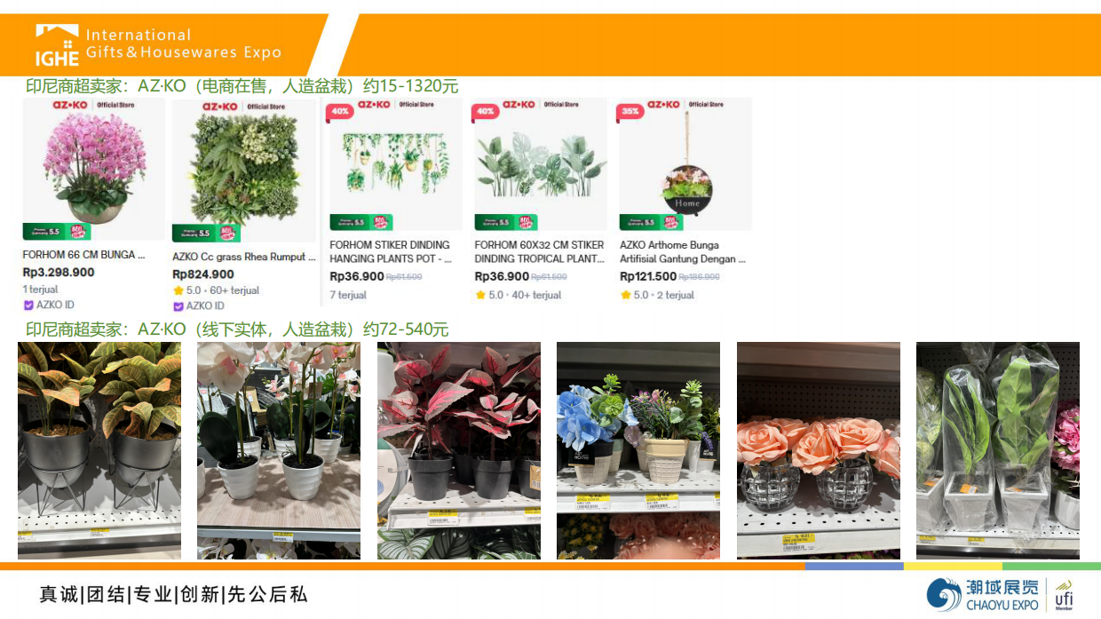2026年印尼人造植物市场调查报告-潮域展览.pdf_第9页