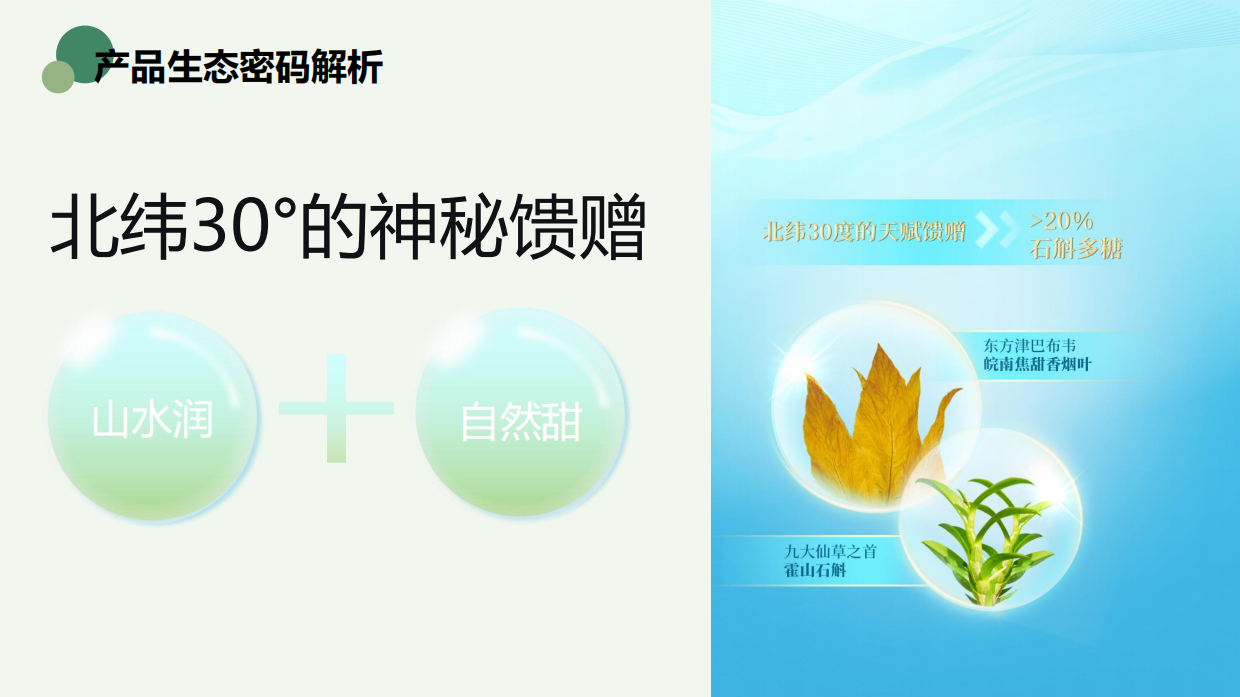烟草品牌形象焕新推广实施方案.pdf_第4页