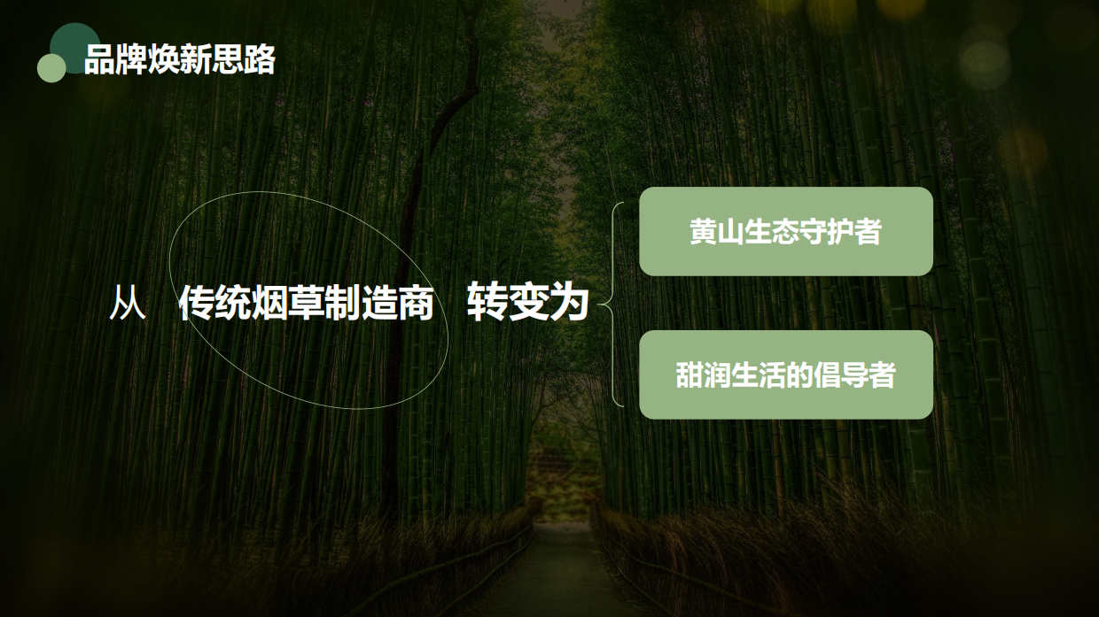 烟草品牌形象焕新推广实施方案.pdf_第5页