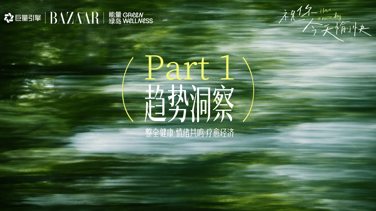 2026抖音健康生活方式IP祝你今天愉快招商方案.pdf_第2页