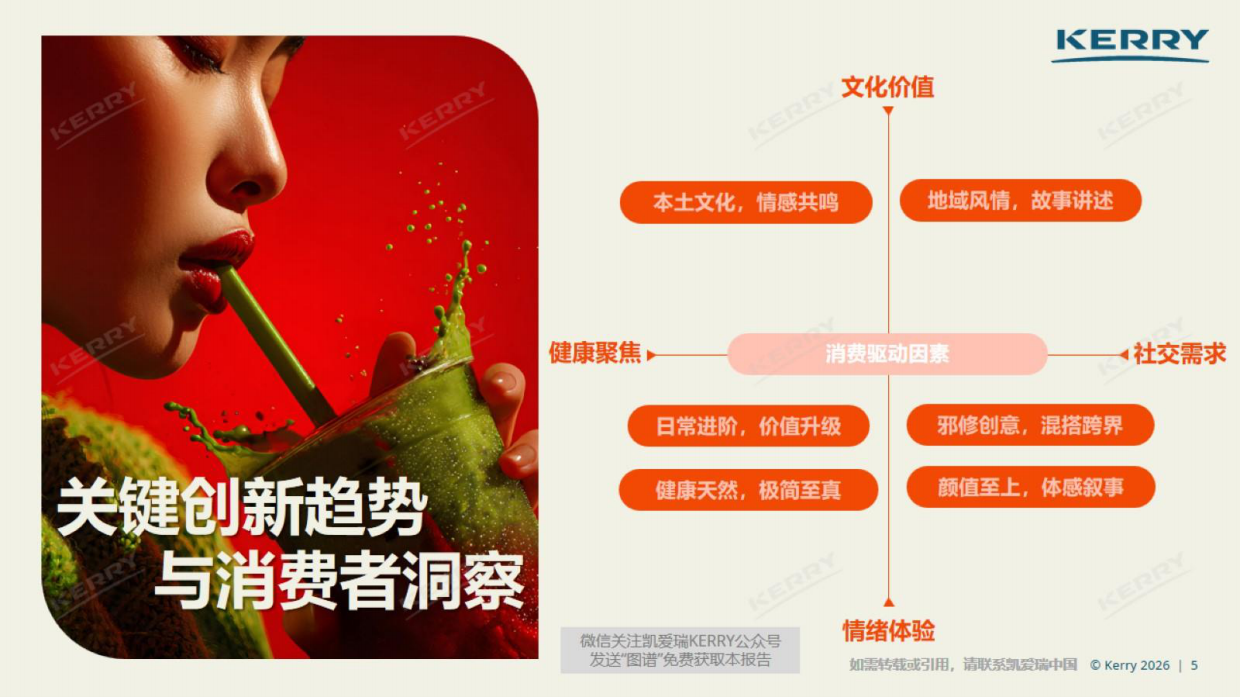 2026中国饮料风味图谱-凯爱瑞.pdf_第5页