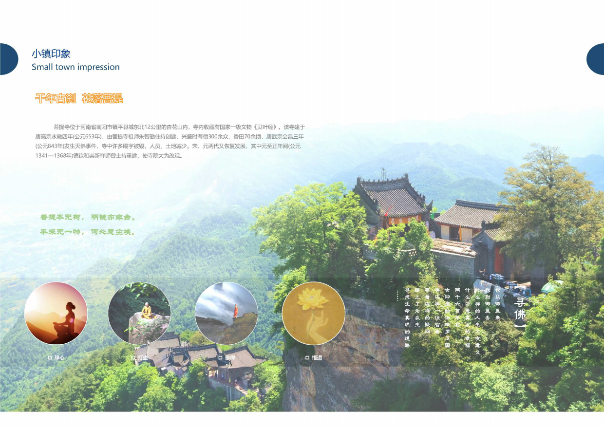 文旅项目佛文化菩提寺特色小镇概念规划方案.pdf_第8页
