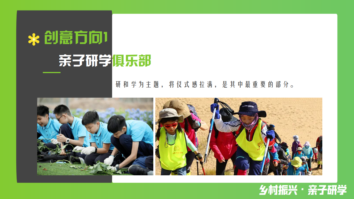 2026乡村振兴农业体验六一儿童节亲子自然科普嘉年华研学活动方案-30页.pdf_第10页