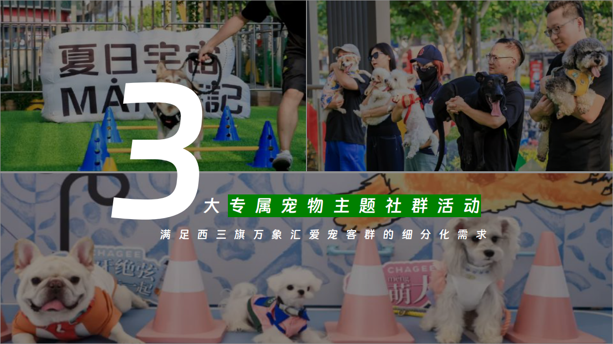 2026万象汇购物中心萌宠宠物生活节人宠物友好主题活动方案-134页.pdf_第10页