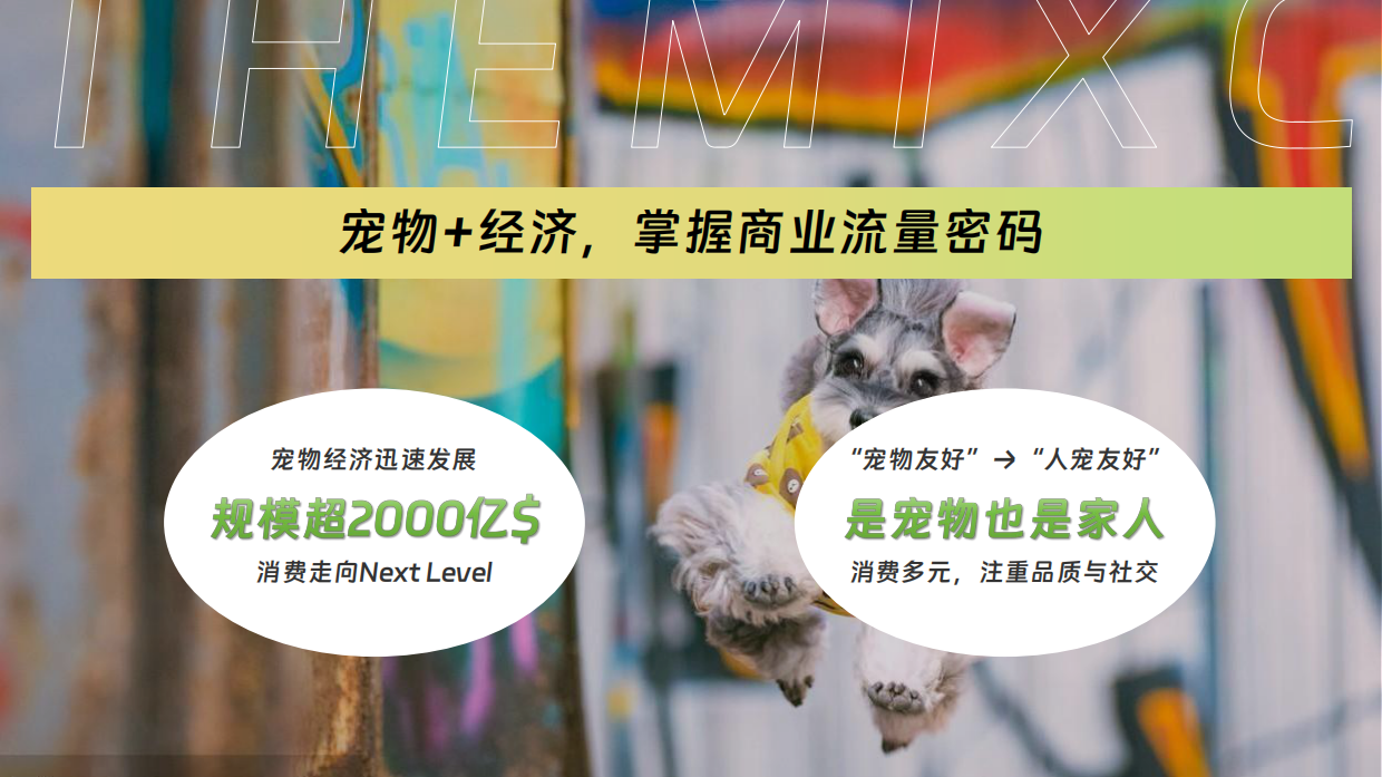 2026万象汇购物中心萌宠宠物生活节人宠物友好主题活动方案-134页.pdf_第3页