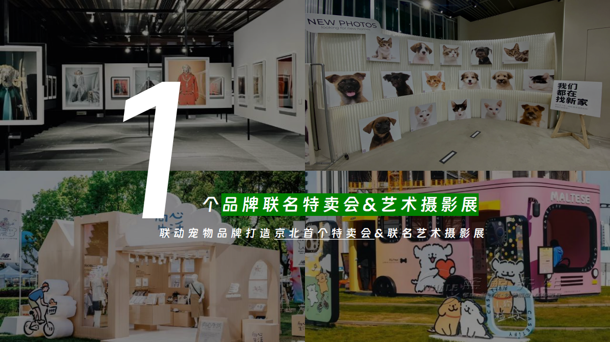 2026万象汇购物中心萌宠宠物生活节人宠物友好主题活动方案-134页.pdf_第9页