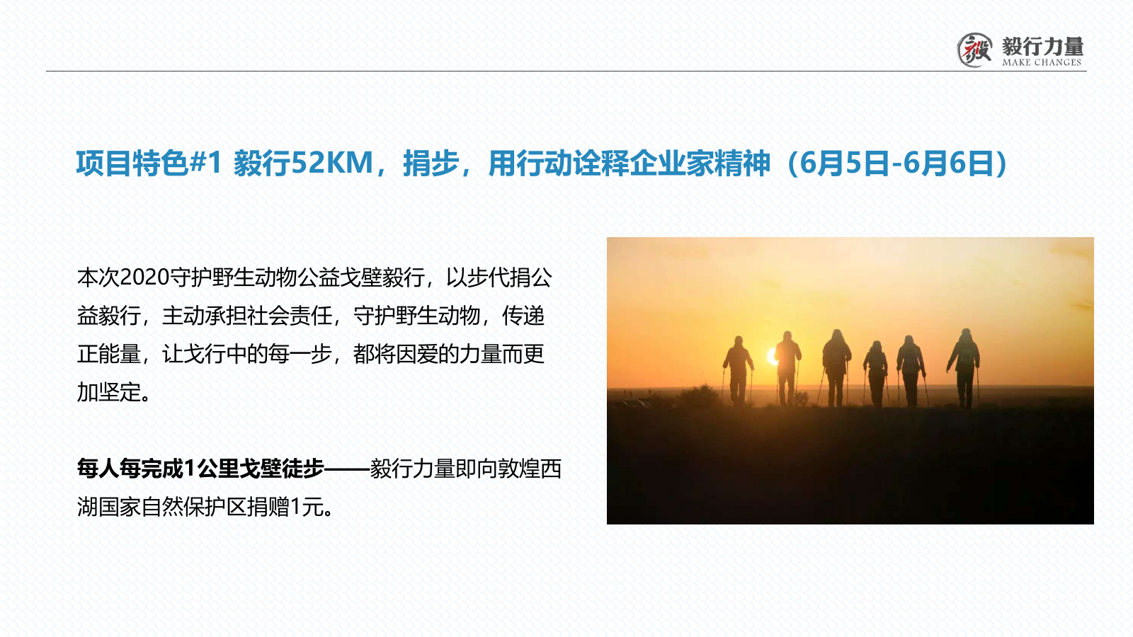 2020保护野生动物公益戈壁行活动.pptx_第10页