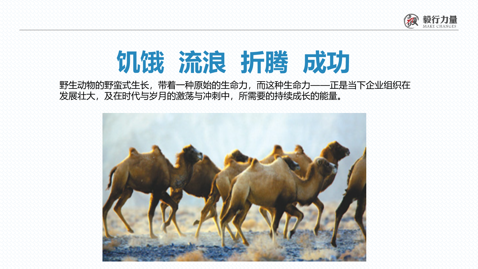 2020保护野生动物公益戈壁行活动.pptx_第2页