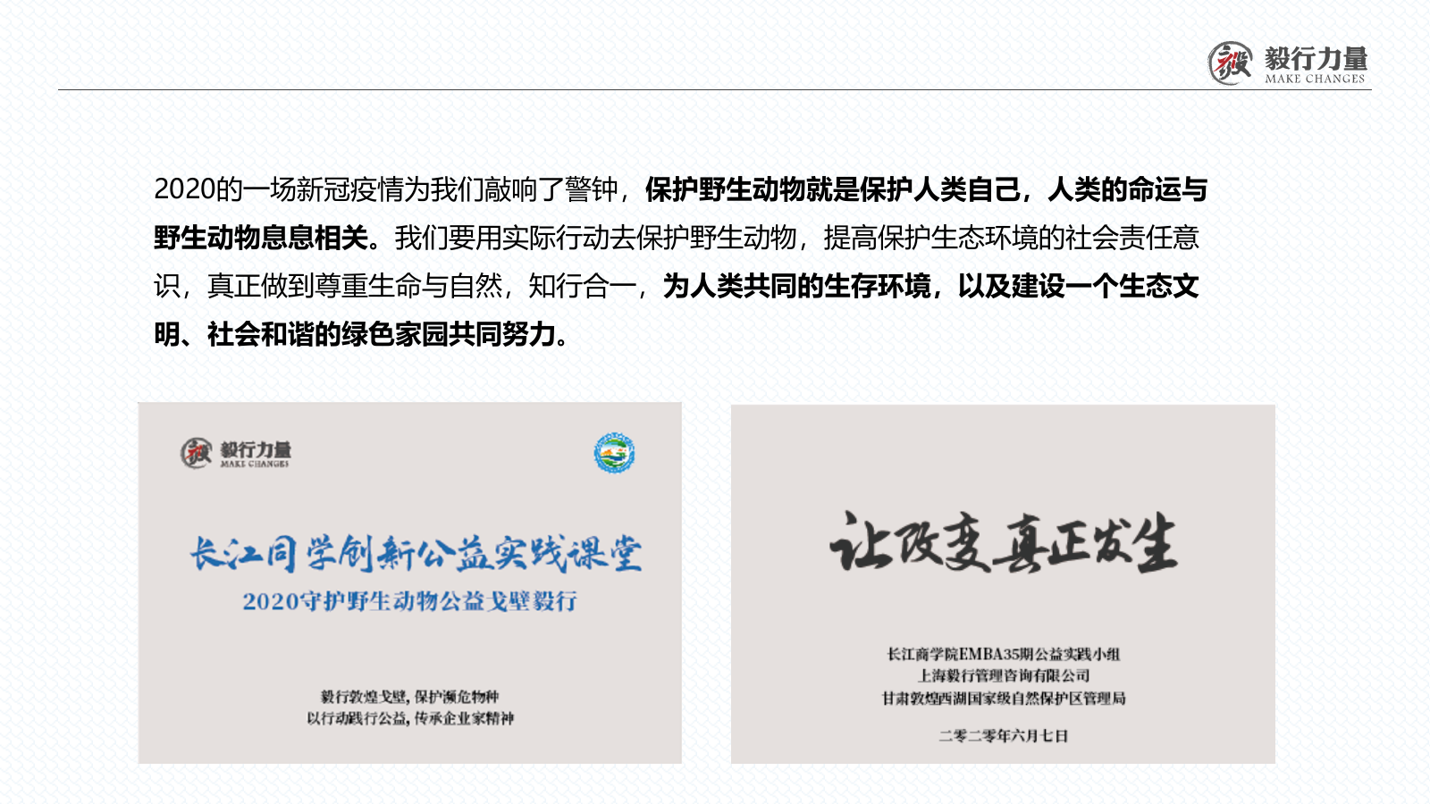 2020保护野生动物公益戈壁行活动.pptx_第4页
